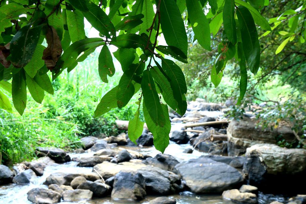 Nivahana Homestay Kandy Exterior photo