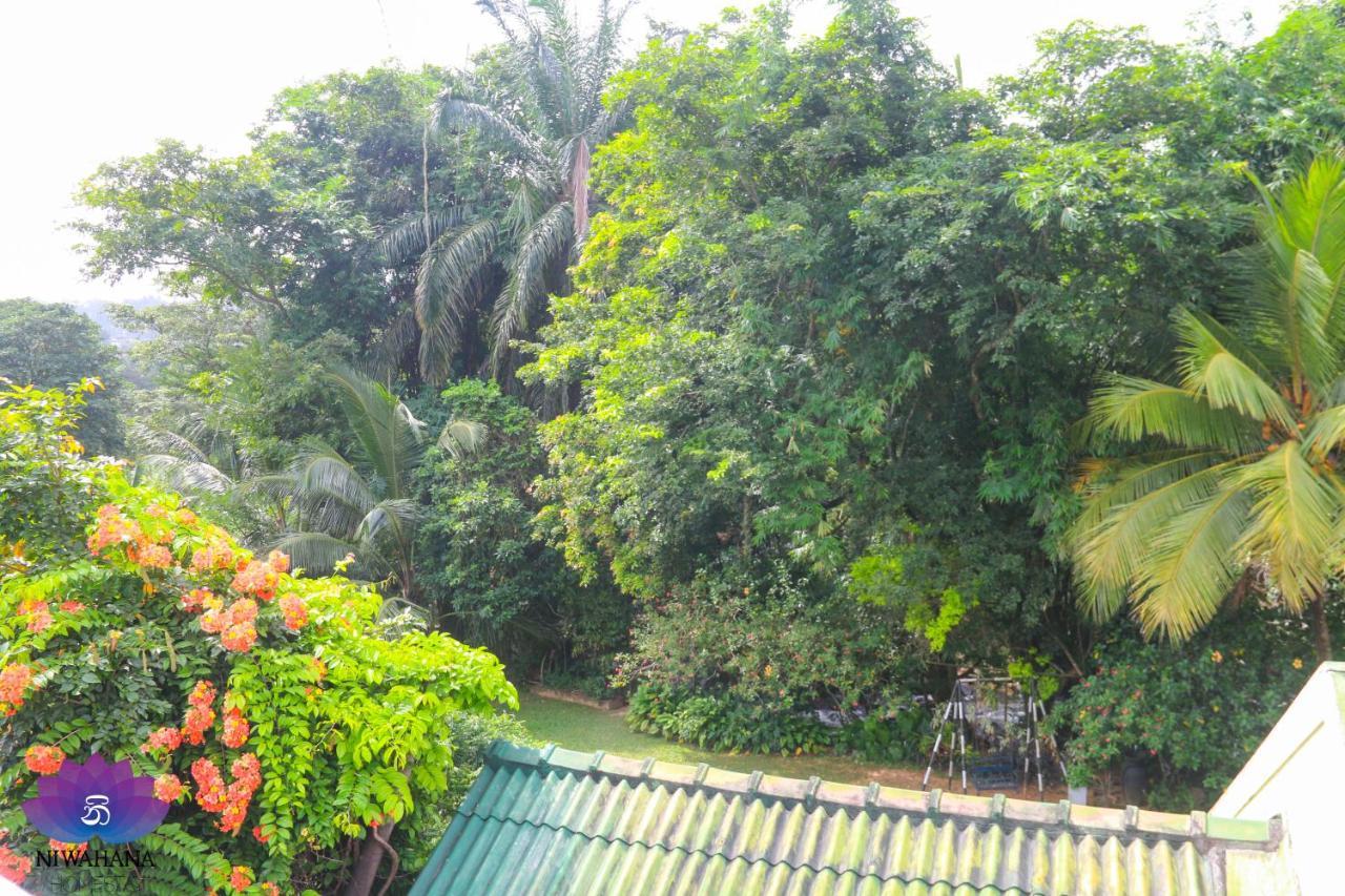 Nivahana Homestay Kandy Exterior photo