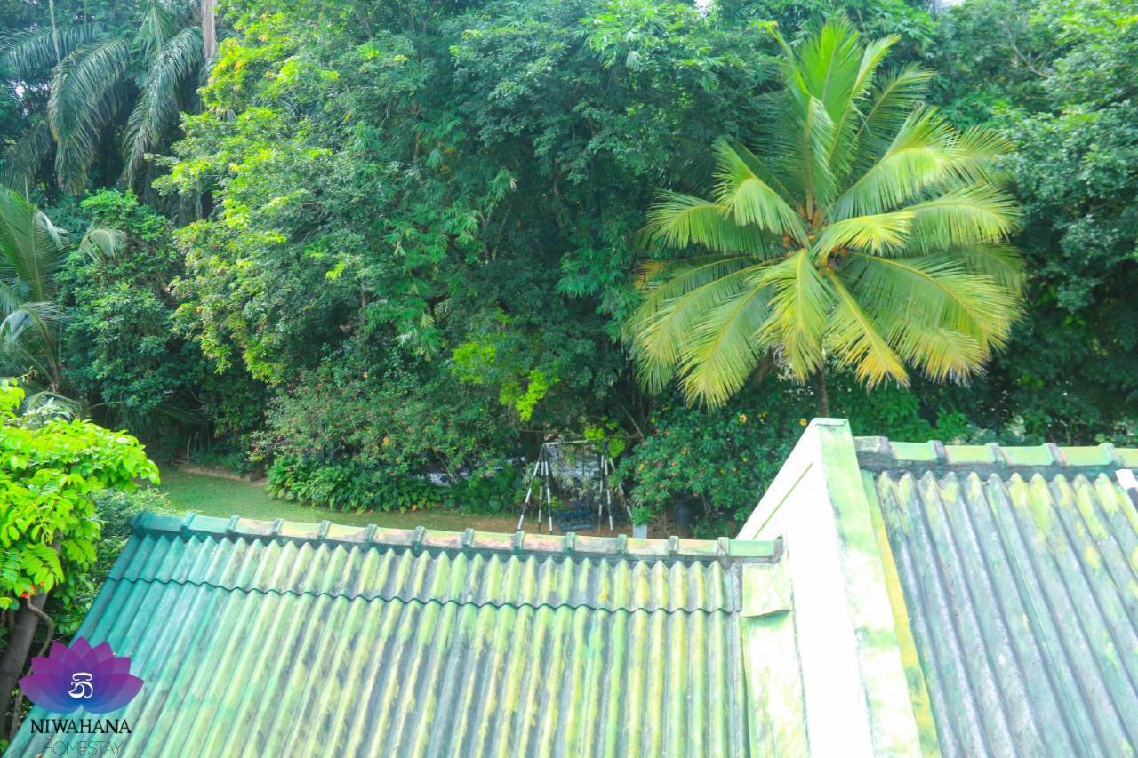 Nivahana Homestay Kandy Exterior photo